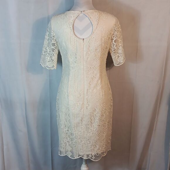 Alex Marie Elegant Cream Lace Dress - Picture 4 of 9